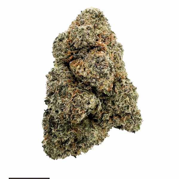 Lemon Cherry Gelato B's (Hybrid)