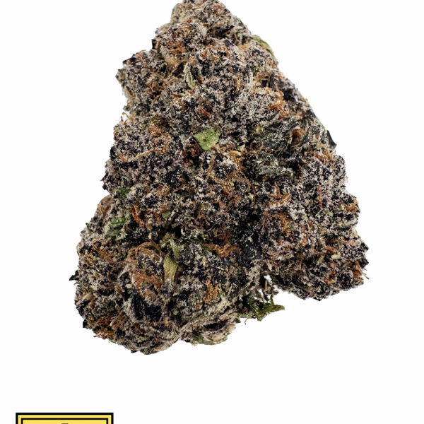 CANDY HEARTZ ( HYBRID)