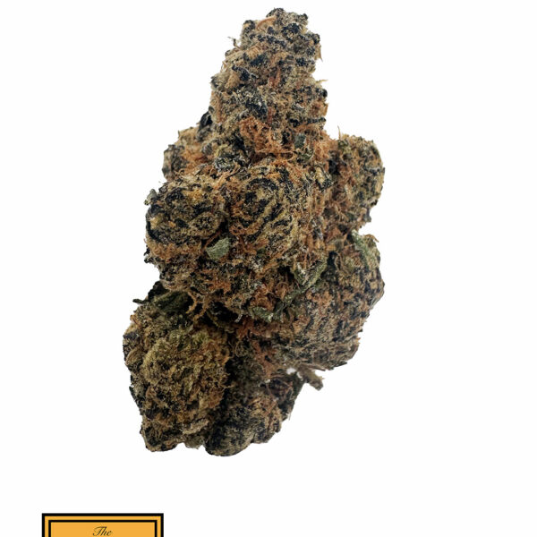DoughLato (Indica)