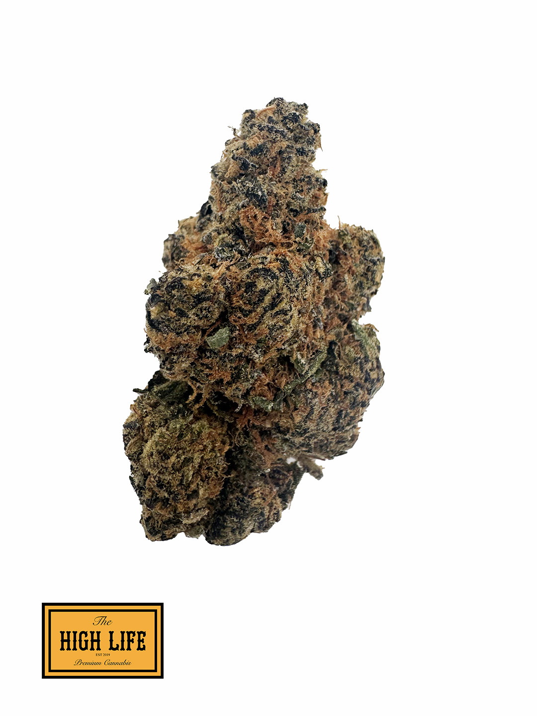 DoughLato (Indica)