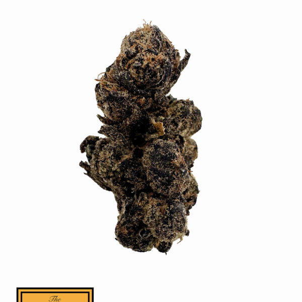Gelato 33 (Hybrid)