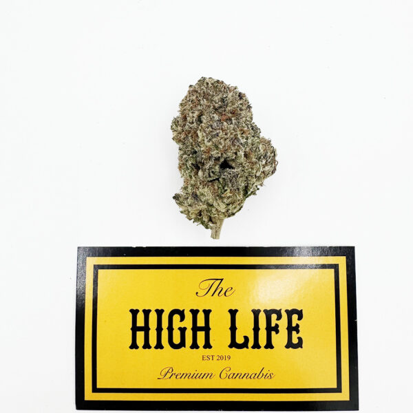 GELATO CAKE  (INDICA)