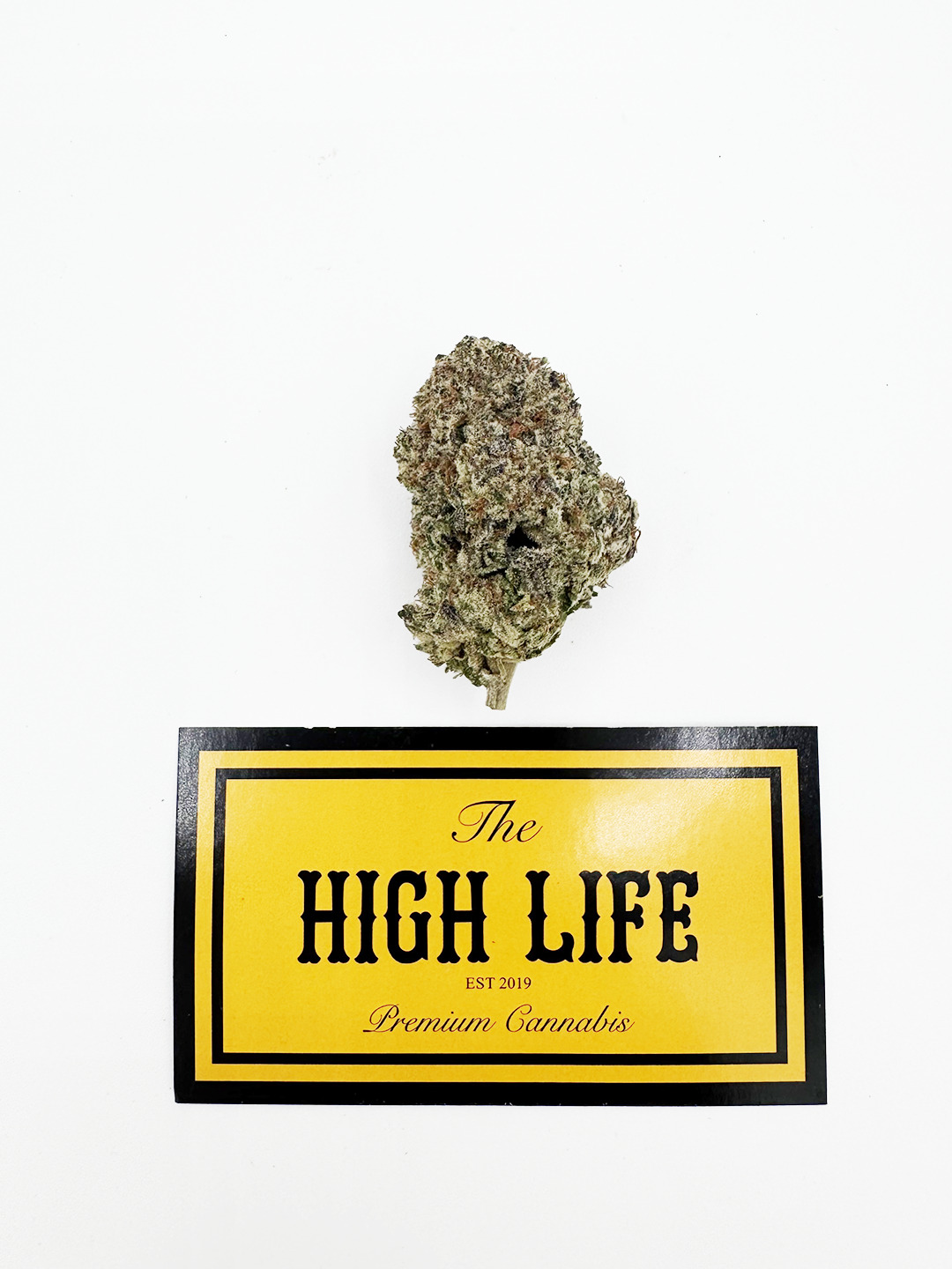 GELATO CAKE  (INDICA)