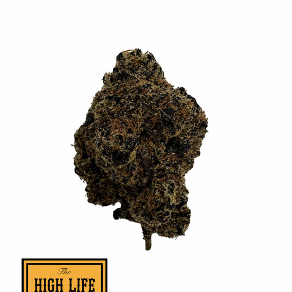 GELATO KING (HYBRID)