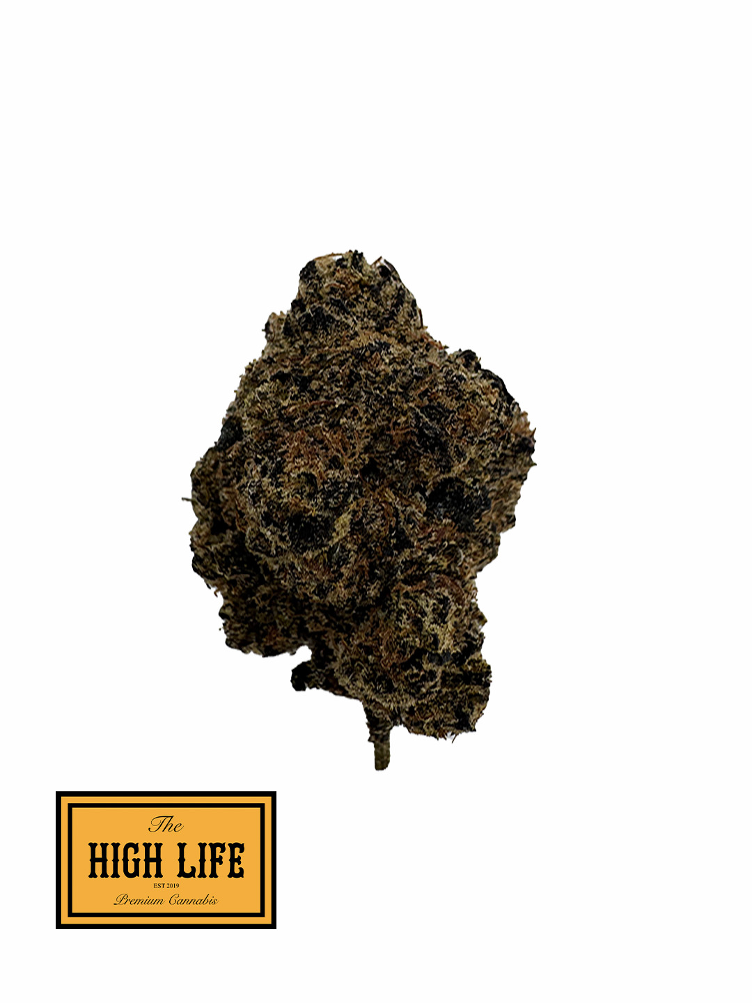 GELATO KING (HYBRID)