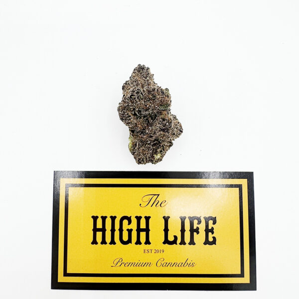 GELATO KING (HYBRID)