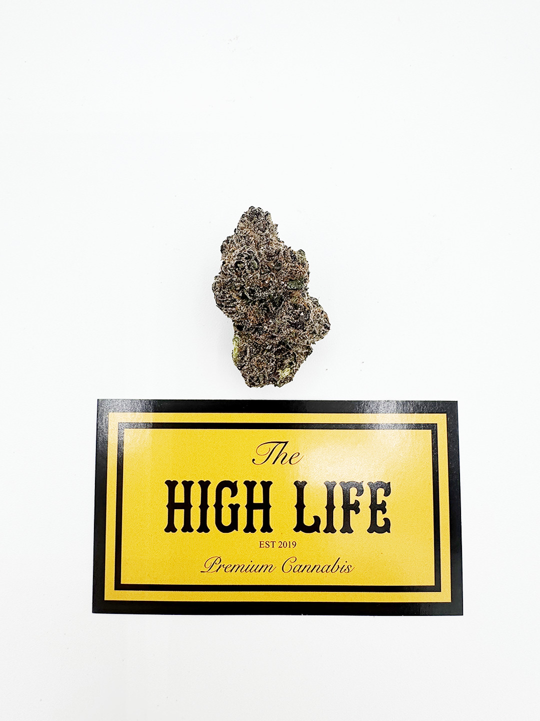 GELATO KING (HYBRID)