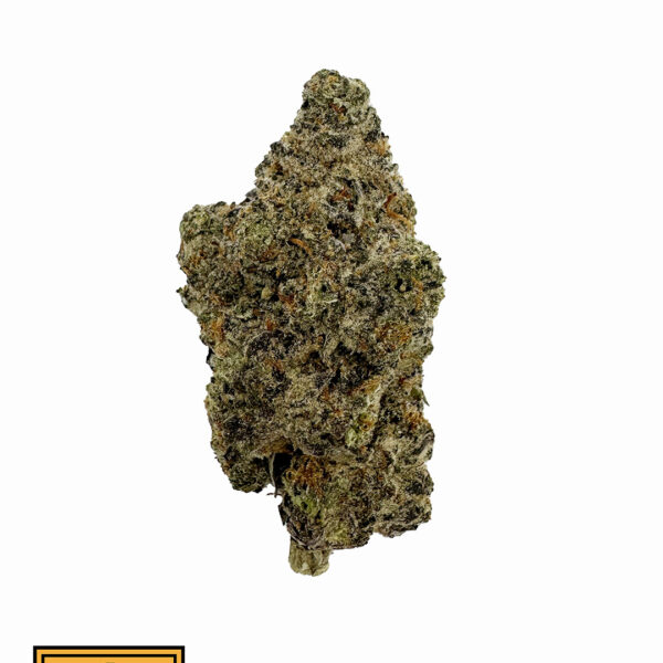 Cookies and Cream (Hybrid)