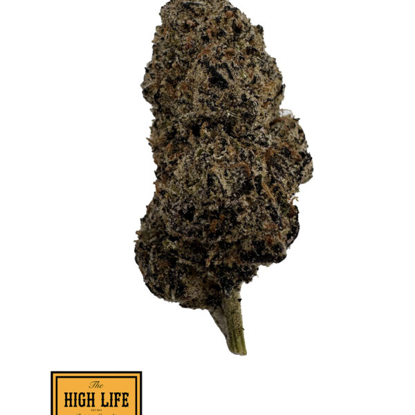 Mochi ( Hybrid)