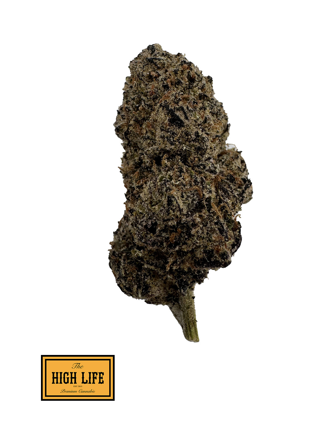 Mochi ( Hybrid)