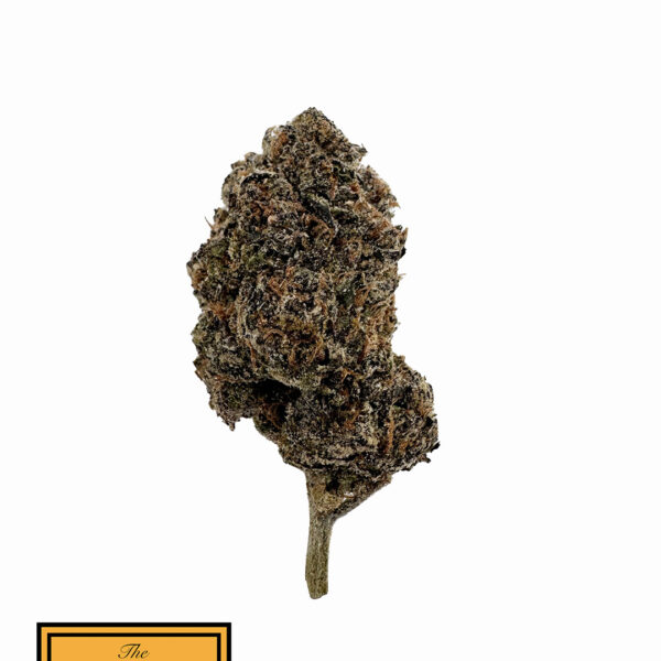 G47 (Sativa)
