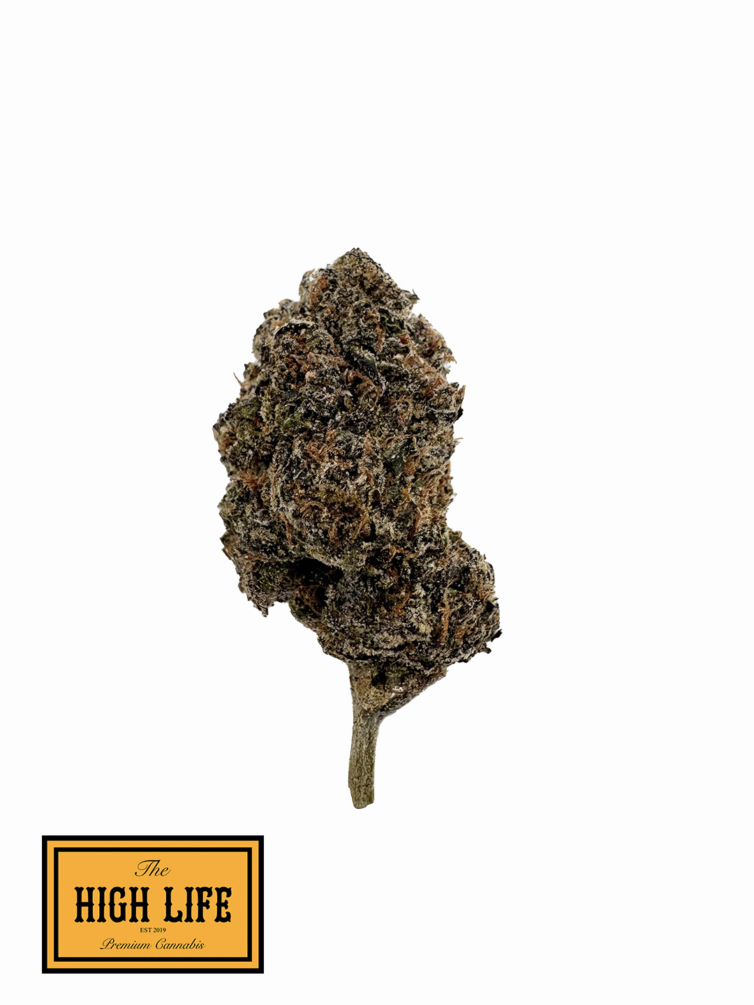 G47 (Sativa)