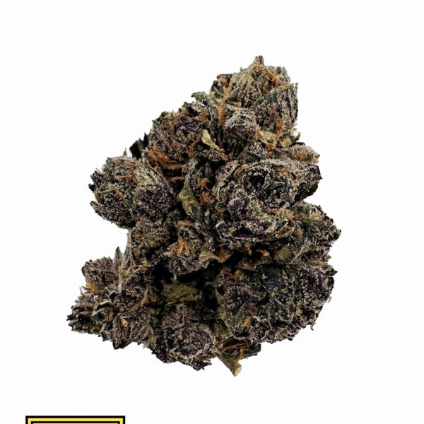 Gumbo (hybrid)