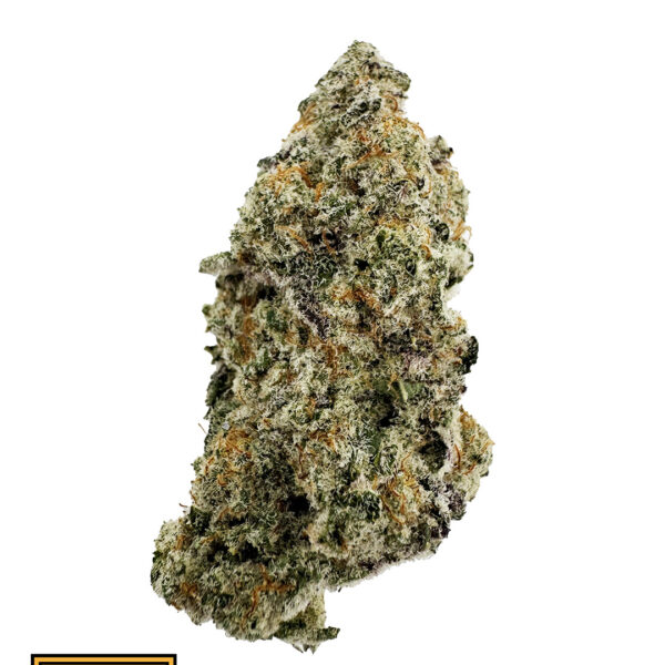 MAC 1(Hybrid)